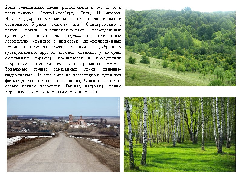 Зона смешанных лесов расположена в основном в треугольнике: Санкт-Петербург, Киев, Н.Новгород. Чистые дубравы уживаются